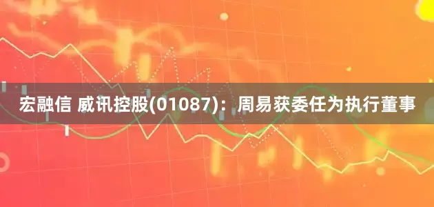宏融信 威讯控股(01087)：周易获委任为执行董事