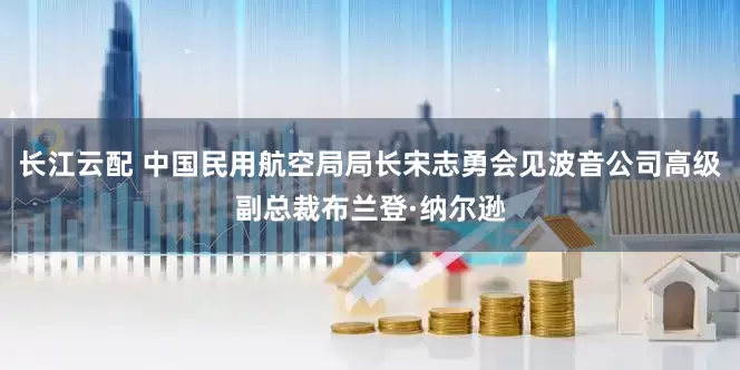 长江云配 中国民用航空局局长宋志勇会见波音公司高级副总裁布兰登·纳尔逊